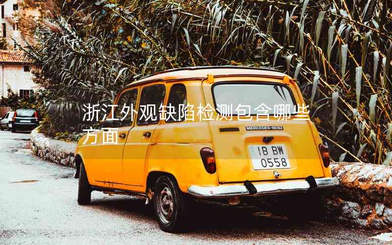 浙江外觀缺陷檢測包含哪些方面 浙江外觀缺陷檢測包含哪些方面