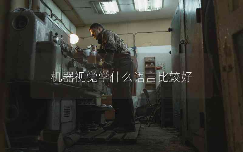 機(jī)器視覺(jué)學(xué)什么語(yǔ)言比較好 機(jī)器視覺(jué)學(xué)什么語(yǔ)言比較好