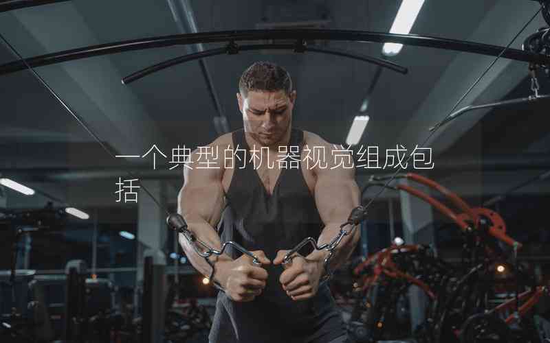 一個(gè)典型的機(jī)器視覺組成包括 一個(gè)典型的機(jī)器視覺組成包括