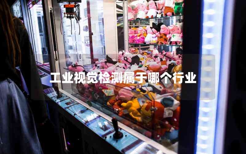 工業(yè)視覺(jué)檢測(cè)屬于哪個(gè)行業(yè) 工業(yè)視覺(jué)檢測(cè)屬于哪個(gè)行業(yè)