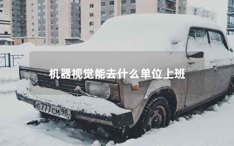 機器視覺能去什么單位上班 機器視覺能去什么單位上班