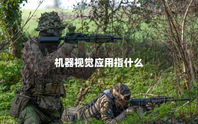 機(jī)器視覺應(yīng)用指什么 機(jī)器視覺應(yīng)用指什么