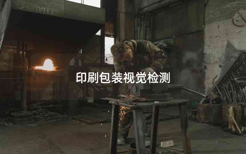 印刷包裝視覺檢測 印刷包裝視覺檢測