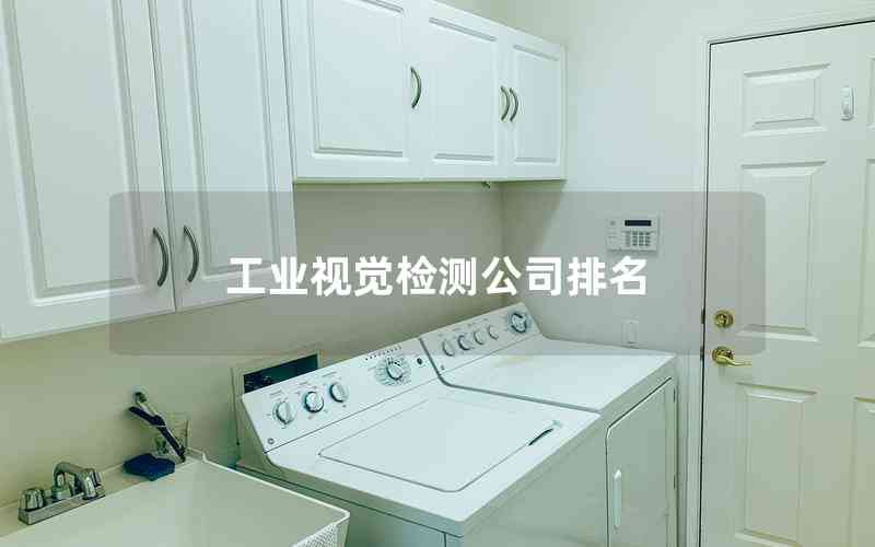 工業(yè)視覺檢測公司排名 工業(yè)視覺檢測公司排名
