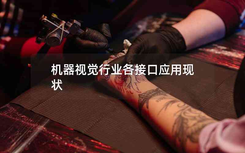機(jī)器視覺(jué)行業(yè)各接口應(yīng)用現(xiàn)狀 機(jī)器視覺(jué)行業(yè)各接口應(yīng)用現(xiàn)狀