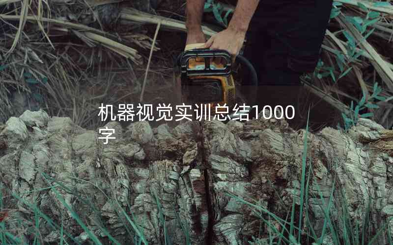 機(jī)器視覺(jué)實(shí)訓(xùn)總結(jié)1000字 機(jī)器視覺(jué)實(shí)訓(xùn)總結(jié)1000字