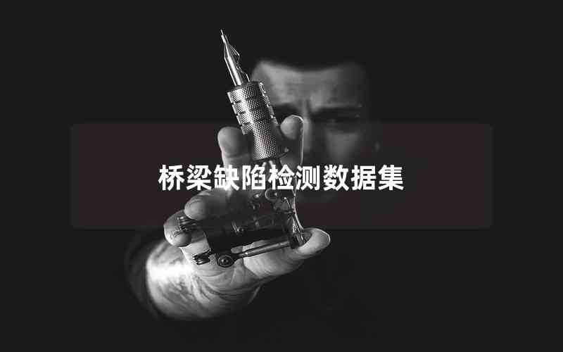 橋梁缺陷檢測數(shù)據(jù)集 橋梁缺陷檢測數(shù)據(jù)集