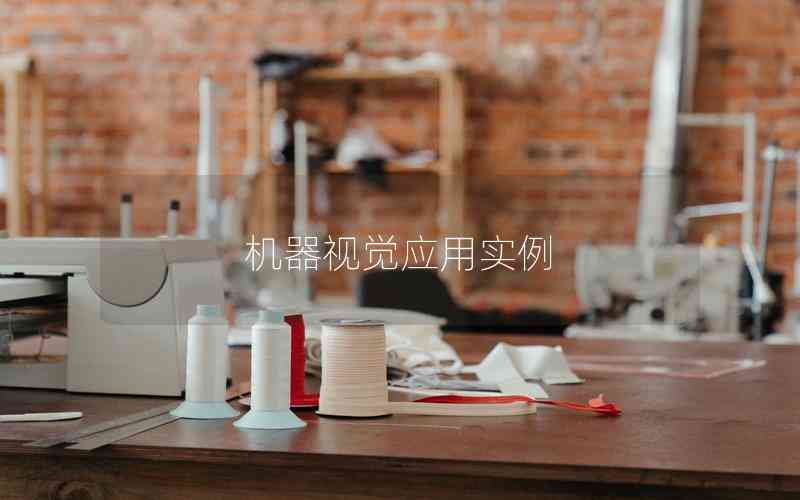機(jī)器視覺(jué)應(yīng)用實(shí)例 機(jī)器視覺(jué)應(yīng)用實(shí)例