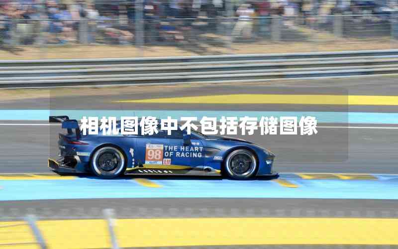 相機圖像中不包括存儲圖像 相機圖像中不包括存儲圖像