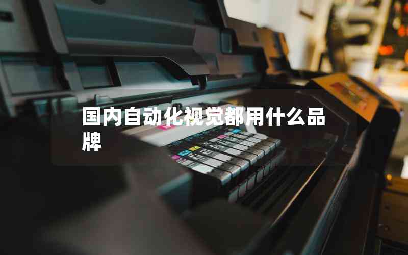 國內(nèi)自動化視覺都用什么品牌 國內(nèi)自動化視覺都用什么品牌
