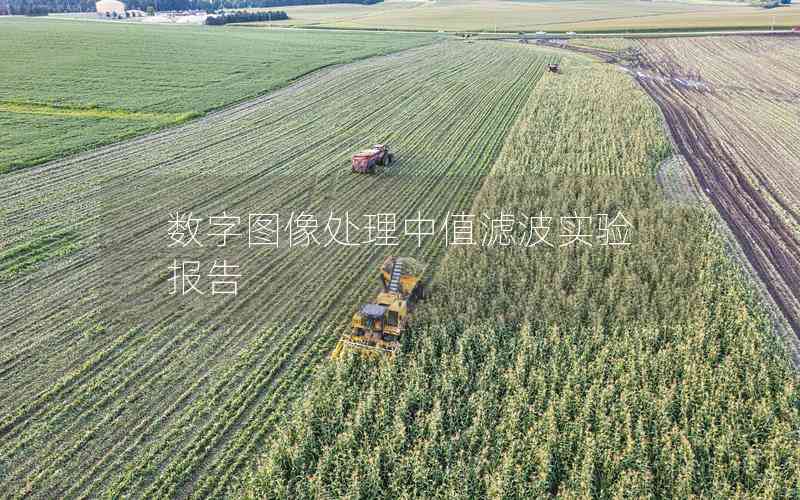數(shù)字圖像處理中值濾波實(shí)驗(yàn)報(bào)告 數(shù)字圖像處理中值濾波實(shí)驗(yàn)報(bào)告