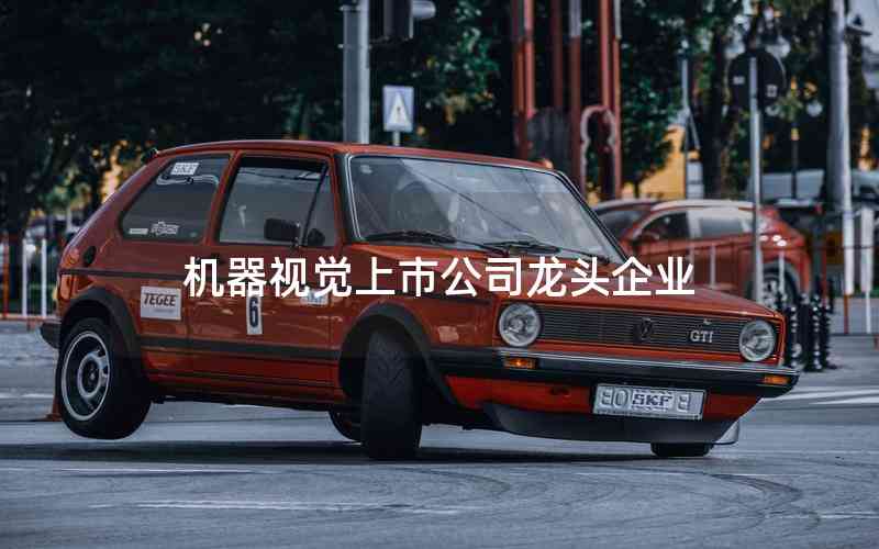 機器視覺上市公司龍頭企業(yè) 機器視覺上市公司龍頭企業(yè)