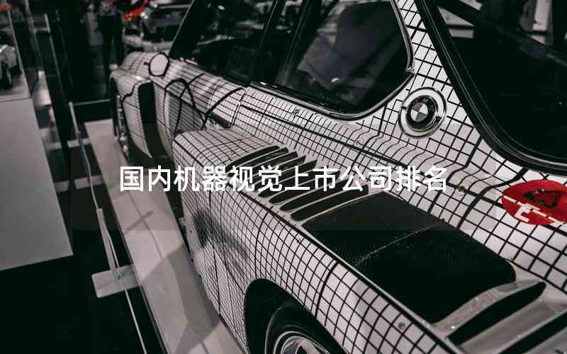 國內(nèi)機器視覺上市公司排名 國內(nèi)機器視覺上市公司排名