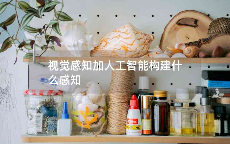 視覺感知加人工智能構建什么感知 視覺感知加人工智能構建什么感知