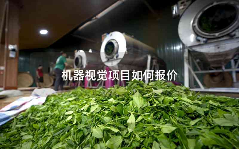 機器視覺項目如何報價 機器視覺項目如何報價