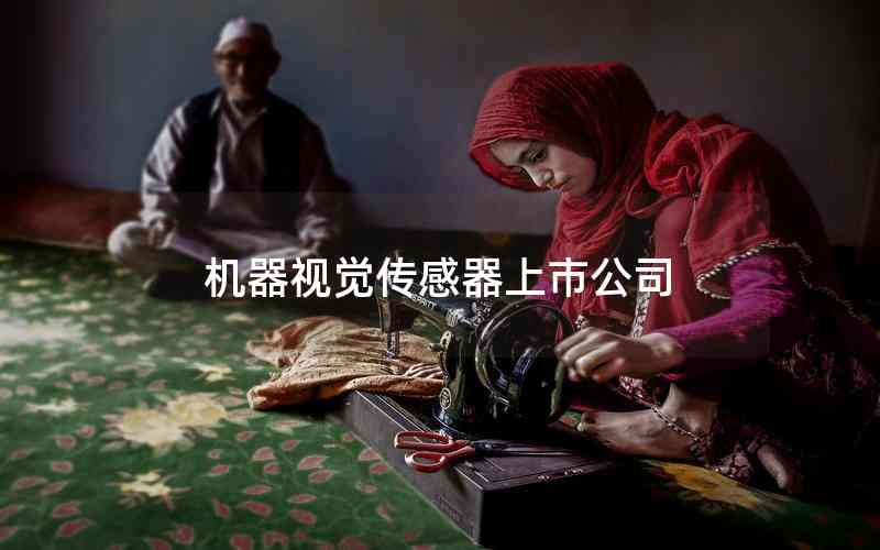 機(jī)器視覺傳感器上市公司 機(jī)器視覺傳感器上市公司