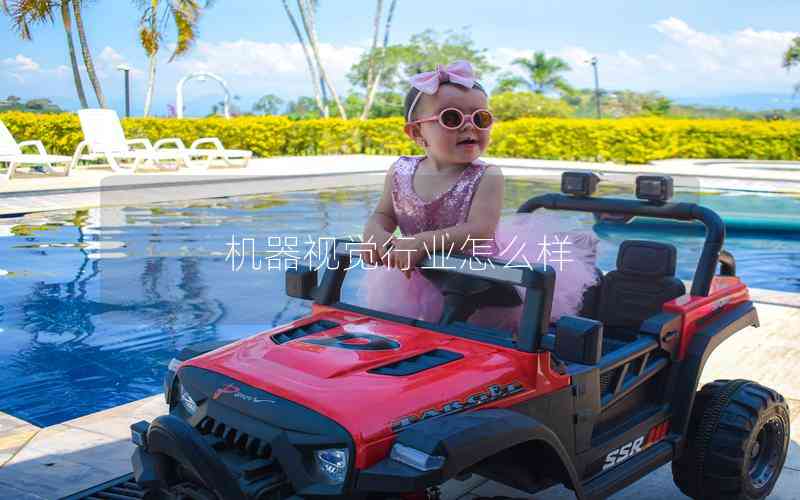 機(jī)器視覺行業(yè)怎么樣 機(jī)器視覺行業(yè)怎么樣