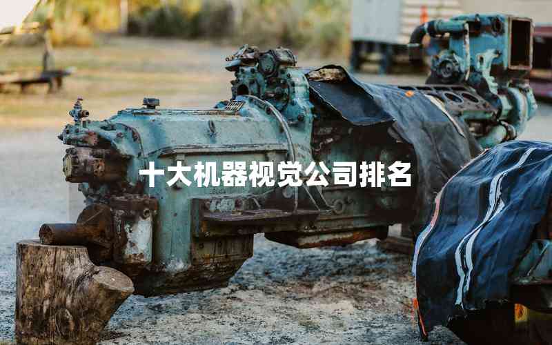 十大機(jī)器視覺(jué)公司排名 十大機(jī)器視覺(jué)公司排名