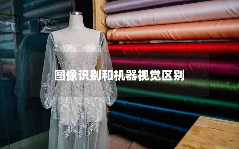 圖像識(shí)別和機(jī)器視覺區(qū)別 圖像識(shí)別和機(jī)器視覺區(qū)別