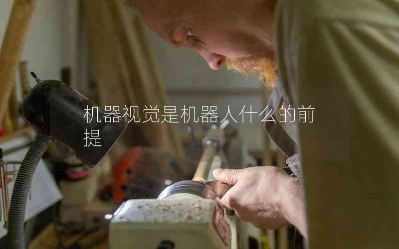 機器視覺是機器人什么的前提 機器視覺是機器人什么的前提