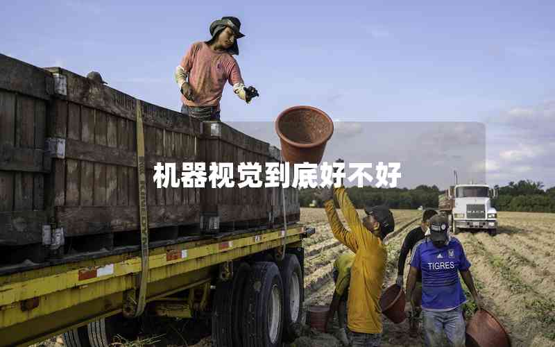 機器視覺到底好不好 機器視覺到底好不好