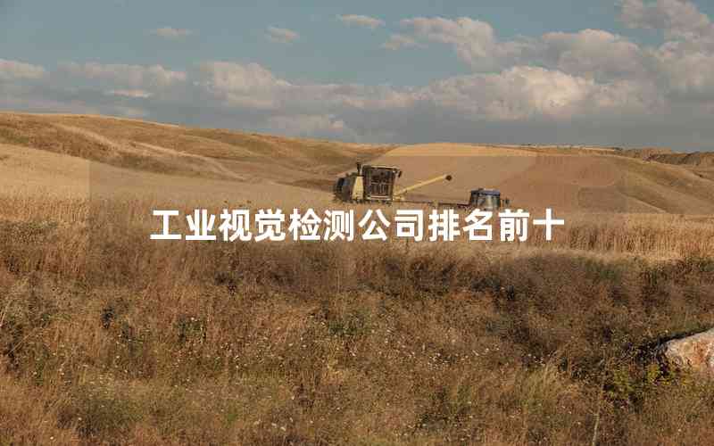 工業(yè)視覺檢測公司排名前十 工業(yè)視覺檢測公司排名前十