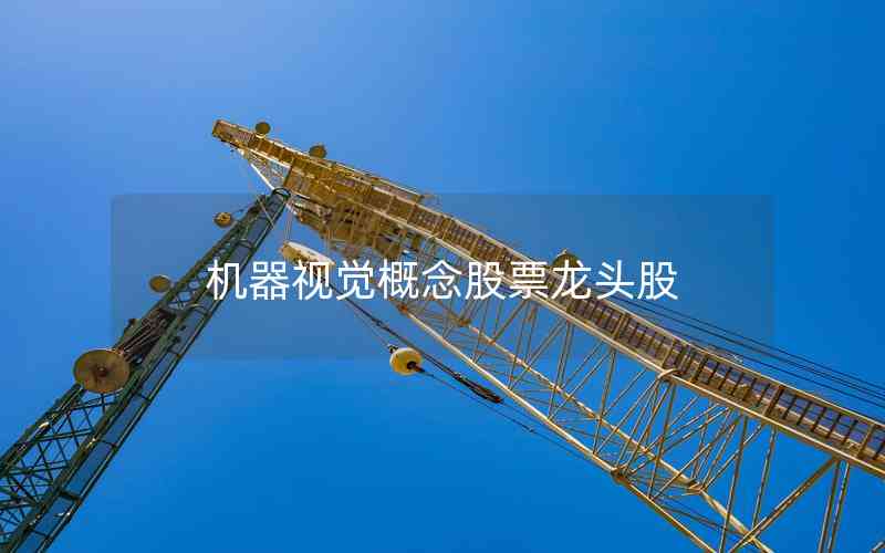 機器視覺概念股票龍頭股 機器視覺概念股票龍頭股