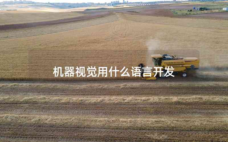 機(jī)器視覺用什么語言開發(fā) 機(jī)器視覺用什么語言開發(fā)