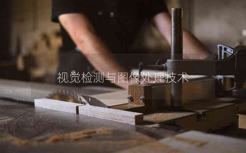 視覺檢測與圖像處理技術(shù) 視覺檢測與圖像處理技術(shù)