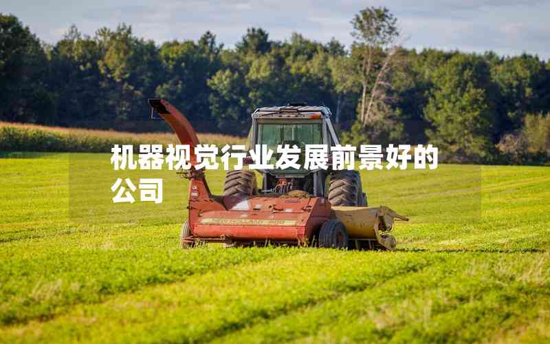 機(jī)器視覺(jué)行業(yè)發(fā)展前景好的公司 機(jī)器視覺(jué)行業(yè)發(fā)展前景好的公司