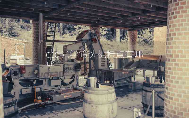ccd光學(xué)篩選機(jī)特點(diǎn)有哪些 ccd光學(xué)篩選機(jī)特點(diǎn)有哪些