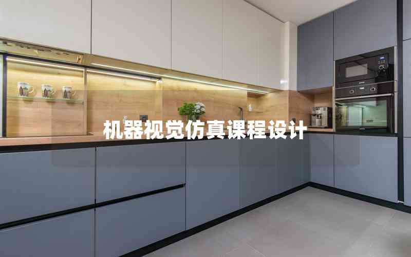 機器視覺仿真課程設(shè)計 機器視覺仿真課程設(shè)計