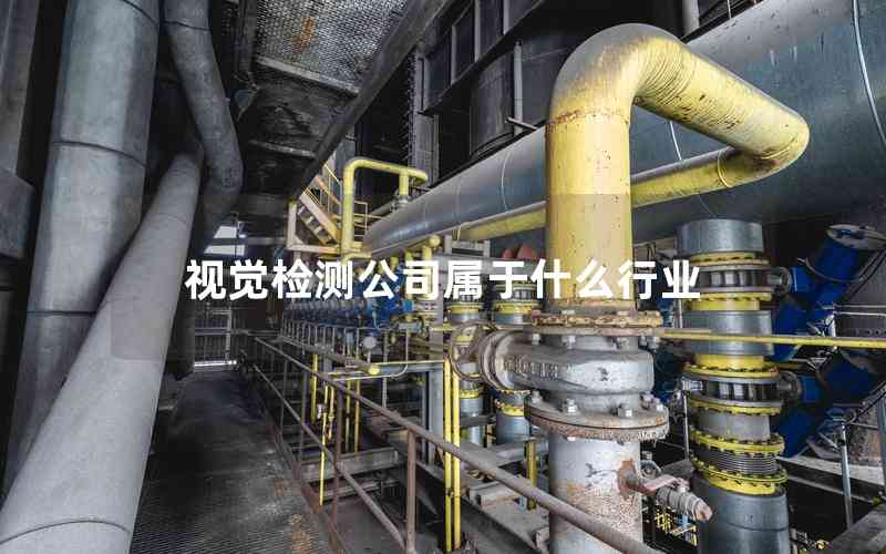 視覺檢測公司屬于什么行業(yè) 視覺檢測公司屬于什么行業(yè)