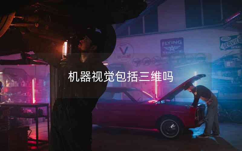 機(jī)器視覺包括三維嗎 機(jī)器視覺包括三維嗎