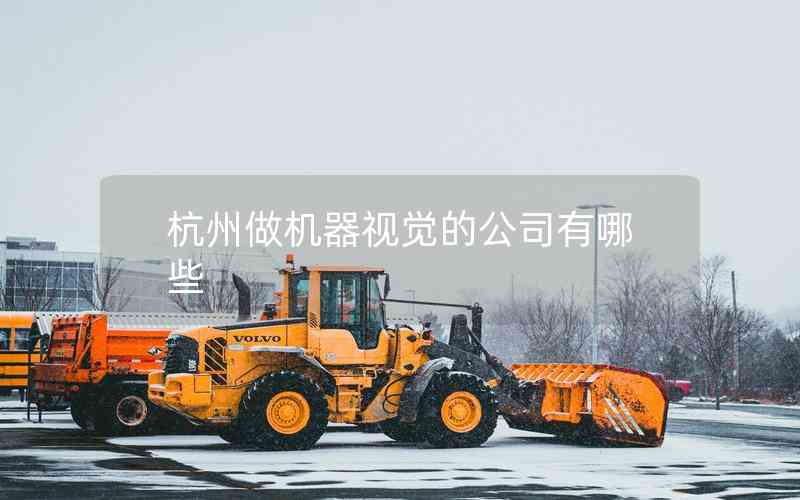杭州做機(jī)器視覺的公司有哪些 杭州做機(jī)器視覺的公司有哪些