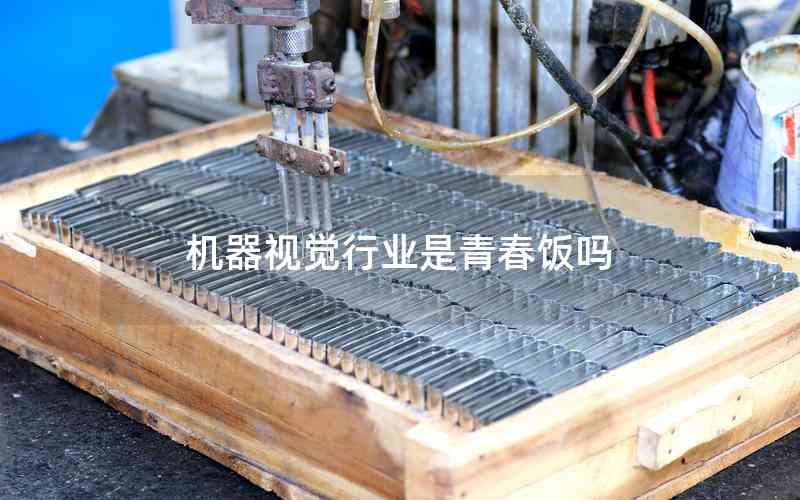 機(jī)器視覺行業(yè)是青春飯嗎 機(jī)器視覺行業(yè)是青春飯嗎