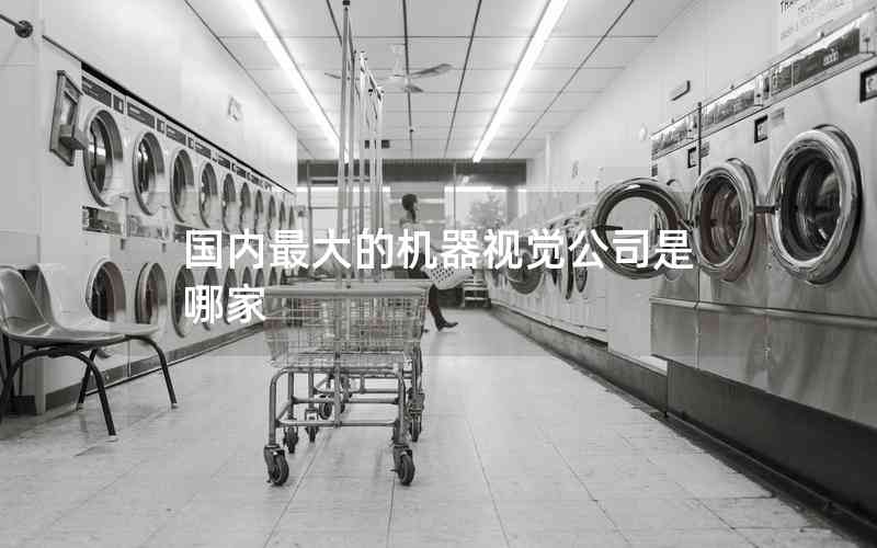 國內(nèi)最大的機器視覺公司是哪家 國內(nèi)最大的機器視覺公司是哪家