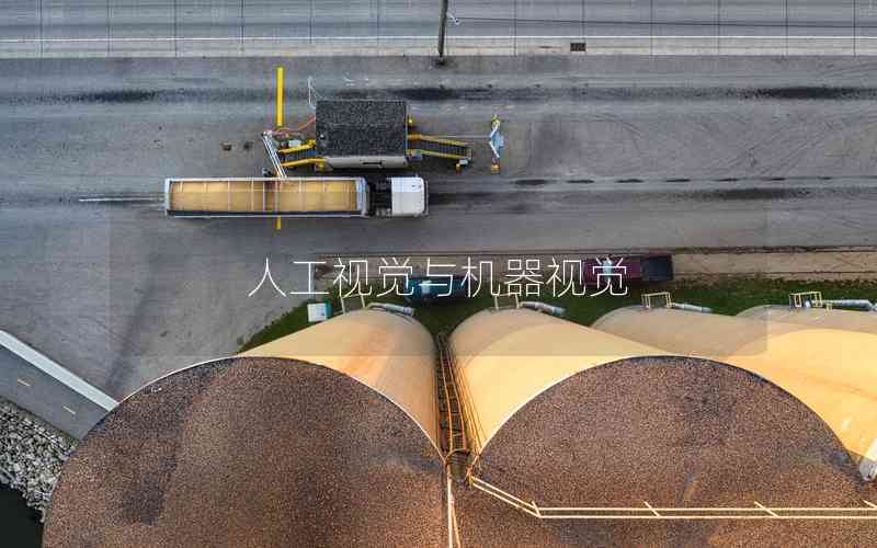 人工視覺與機器視覺 人工視覺與機器視覺