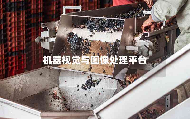 機(jī)器視覺與圖像處理平臺(tái) 機(jī)器視覺與圖像處理平臺(tái)