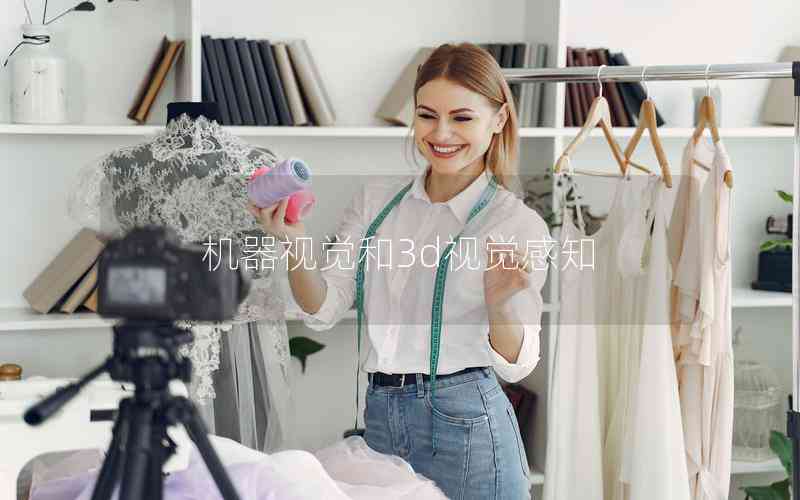 機器視覺和3d視覺感知 機器視覺和3d視覺感知