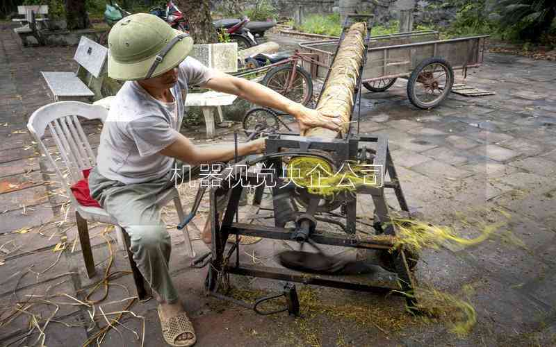 機器視覺央企公司 機器視覺央企公司