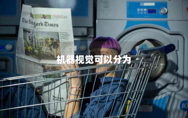 機(jī)器視覺(jué)可以分為 機(jī)器視覺(jué)可以分為