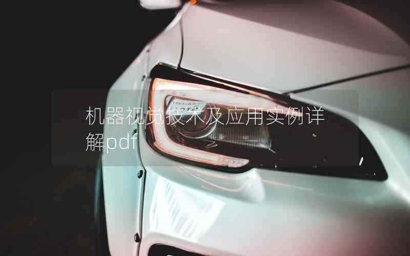 機器視覺技術(shù)及應(yīng)用實例詳解pdf 機器視覺技術(shù)及應(yīng)用實例詳解pdf