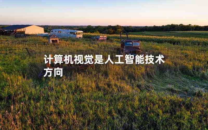 計算機視覺是人工智能技術(shù)方向 計算機視覺是人工智能技術(shù)方向