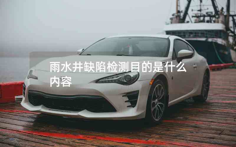 雨水井缺陷檢測目的是什么內容 雨水井缺陷檢測目的是什么內容