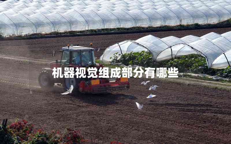 機(jī)器視覺組成部分有哪些 機(jī)器視覺組成部分有哪些