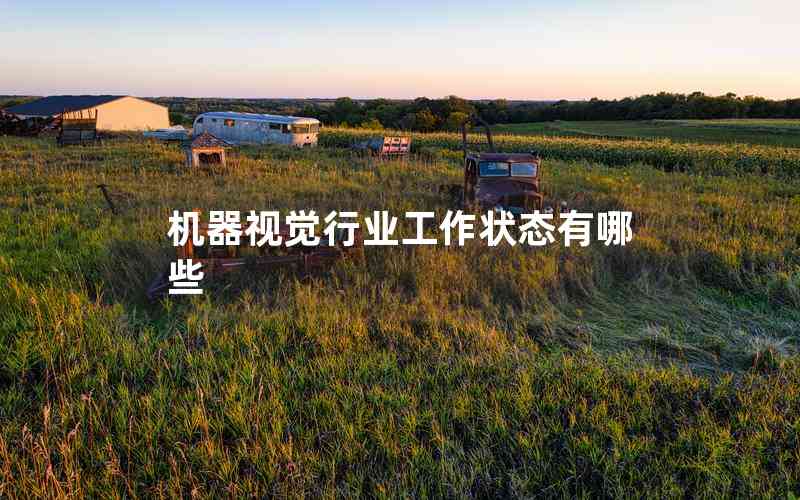 機(jī)器視覺(jué)行業(yè)工作狀態(tài)有哪些 機(jī)器視覺(jué)行業(yè)工作狀態(tài)有哪些