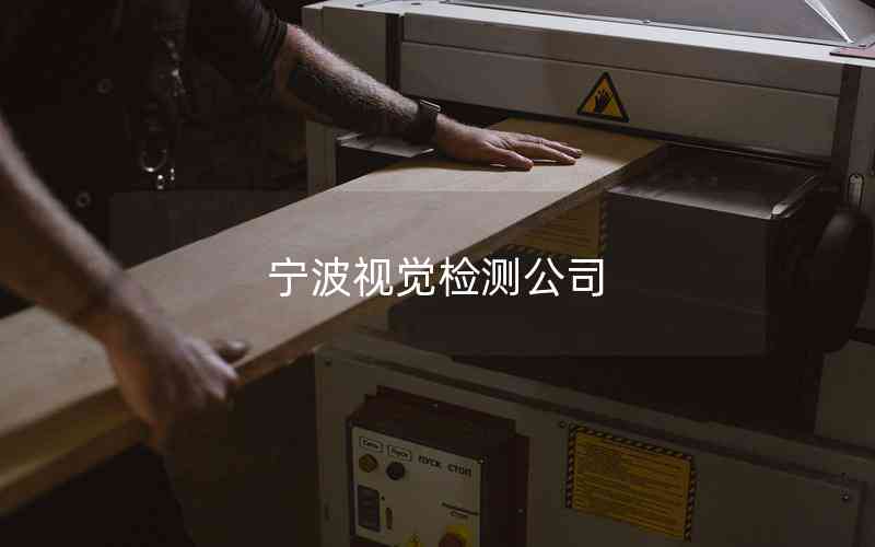 寧波視覺(jué)檢測(cè)公司 寧波視覺(jué)檢測(cè)公司