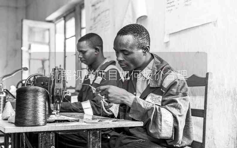 機器視覺項目如何報價合理 機器視覺項目如何報價合理