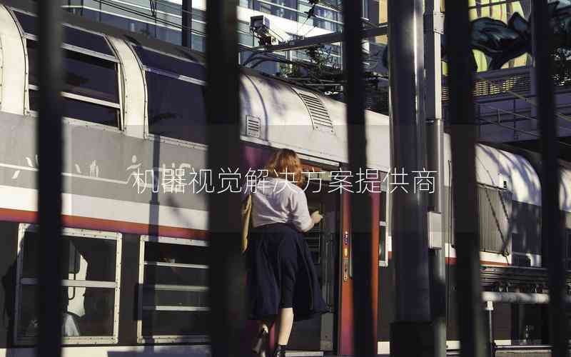 機器視覺解決方案提供商 機器視覺解決方案提供商